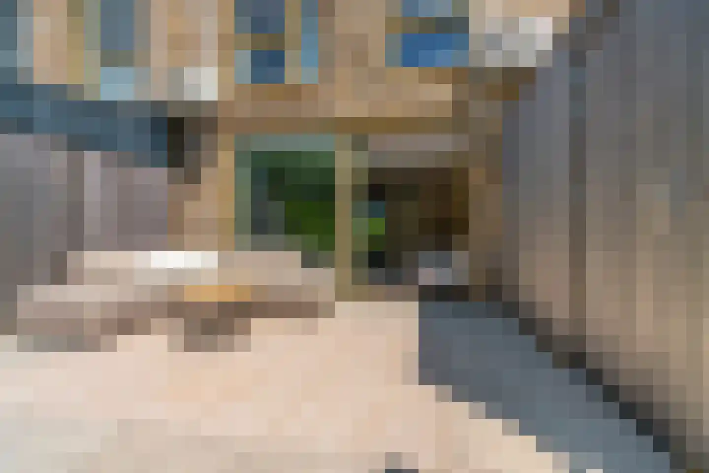 De Whemedreef 58 Arnhem thumbnail 42
