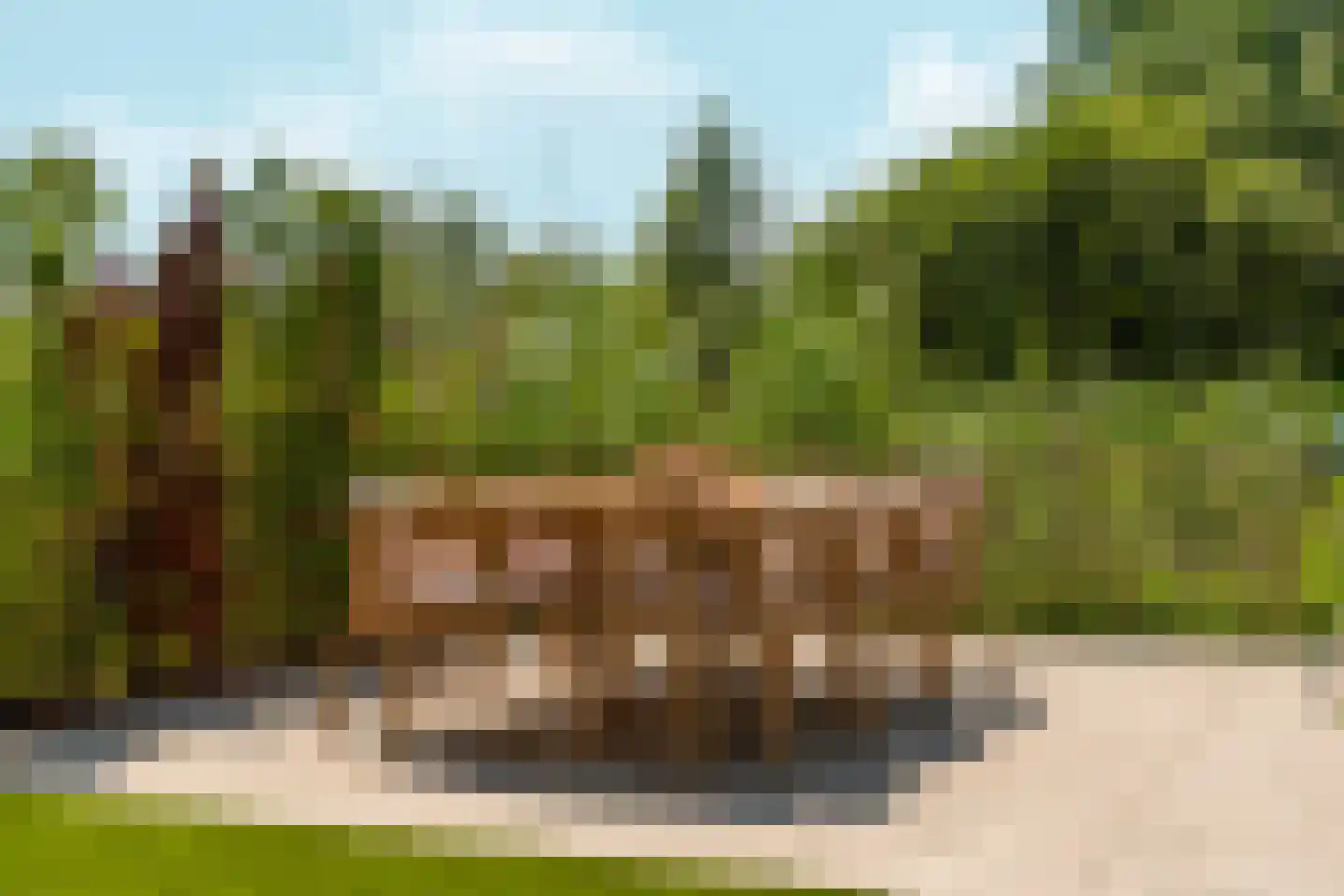 De Whemedreef 58 Arnhem thumbnail 44