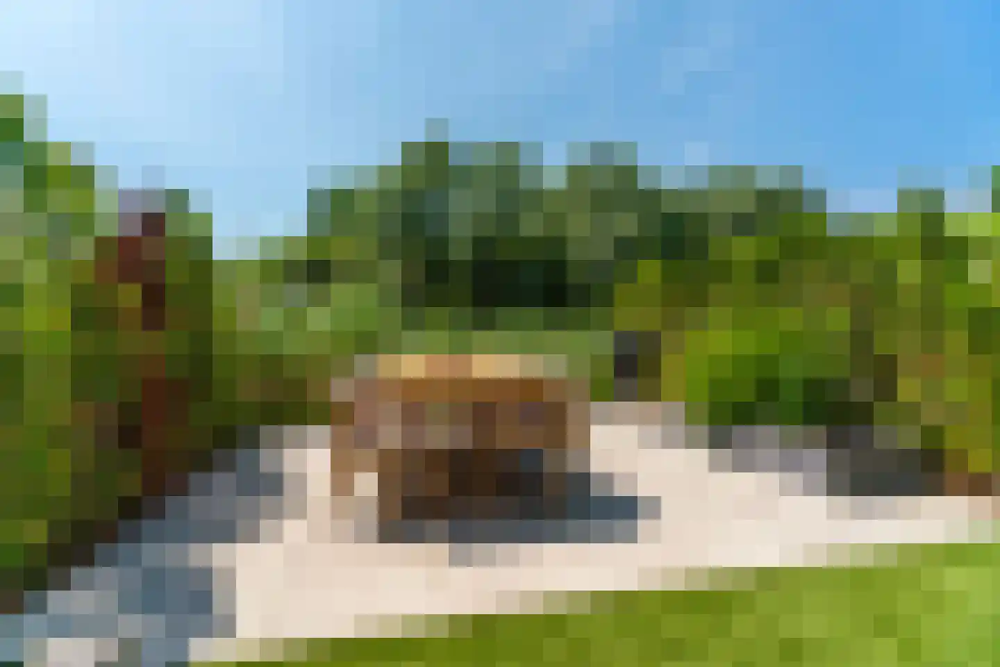 De Whemedreef 58 Arnhem thumbnail 45