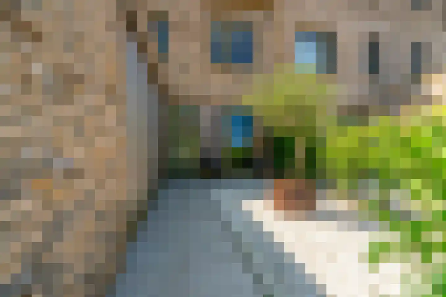 De Whemedreef 58 Arnhem thumbnail 5