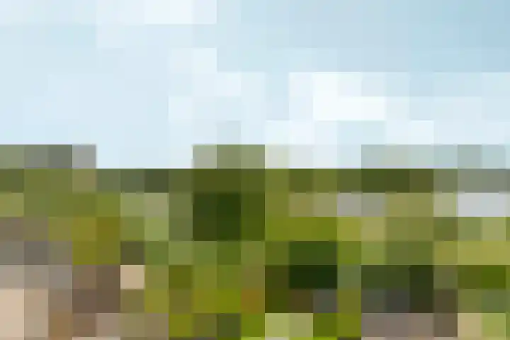 De Whemedreef 92 Arnhem thumbnail 39