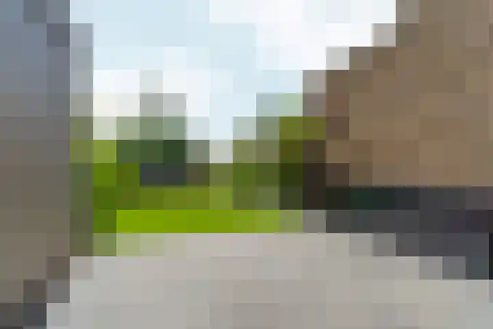De Whemedreef 92 Arnhem thumbnail 40