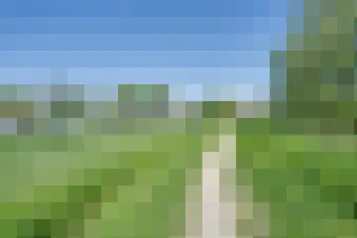 De Wherelanden 120 Purmerend thumbnail 22