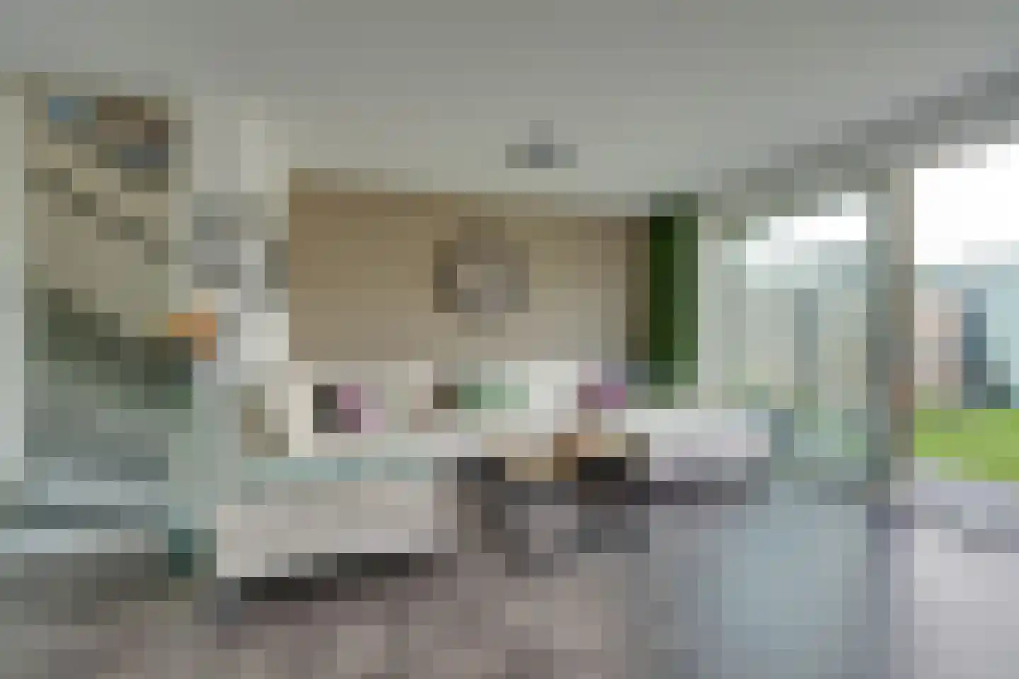 De Wherelanden 124 Purmerend thumbnail 11