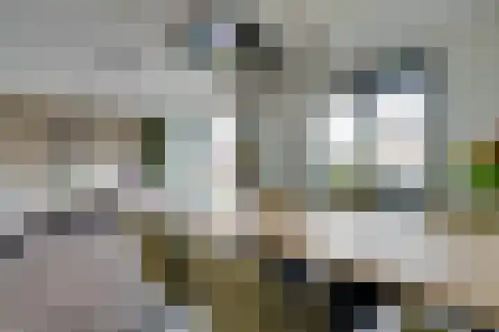 De Wherelanden 124 Purmerend thumbnail 18