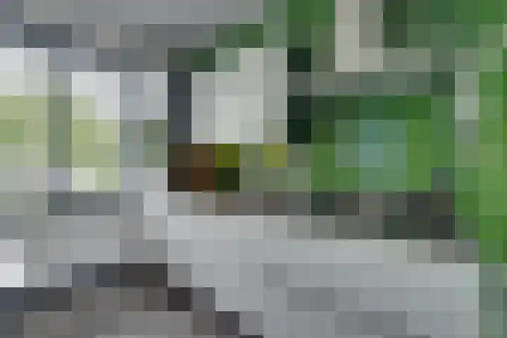 De Wherelanden 124 Purmerend thumbnail 22