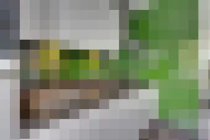De Wherelanden 124 Purmerend thumbnail 23