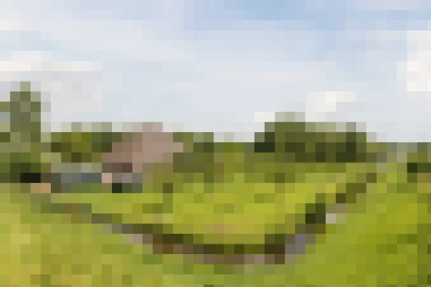 De Wherelanden 129 Purmerend thumbnail 44