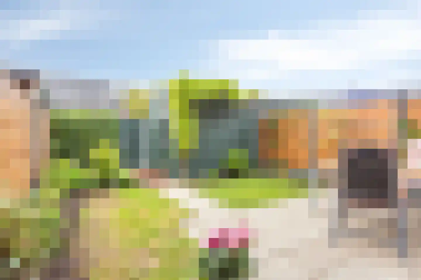 De Wherelanden 133 Purmerend thumbnail 32
