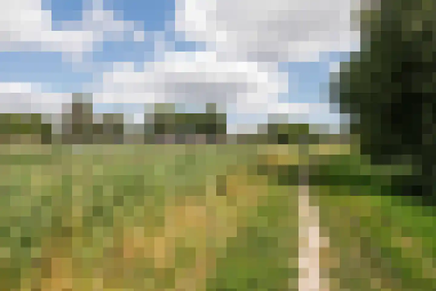 De Wherelanden 136 Purmerend thumbnail 47