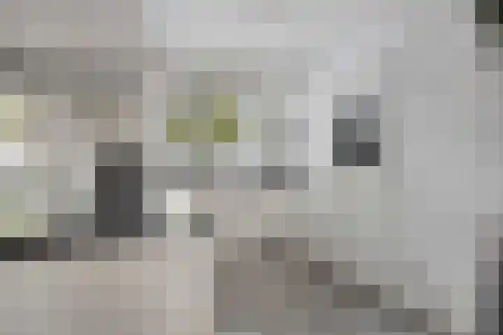 De Wherelanden 155 Purmerend thumbnail 4