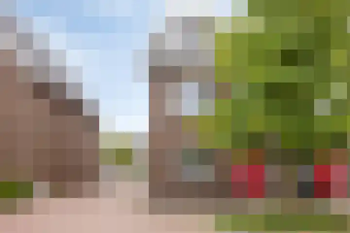 De Wherelanden 155 Purmerend thumbnail 8
