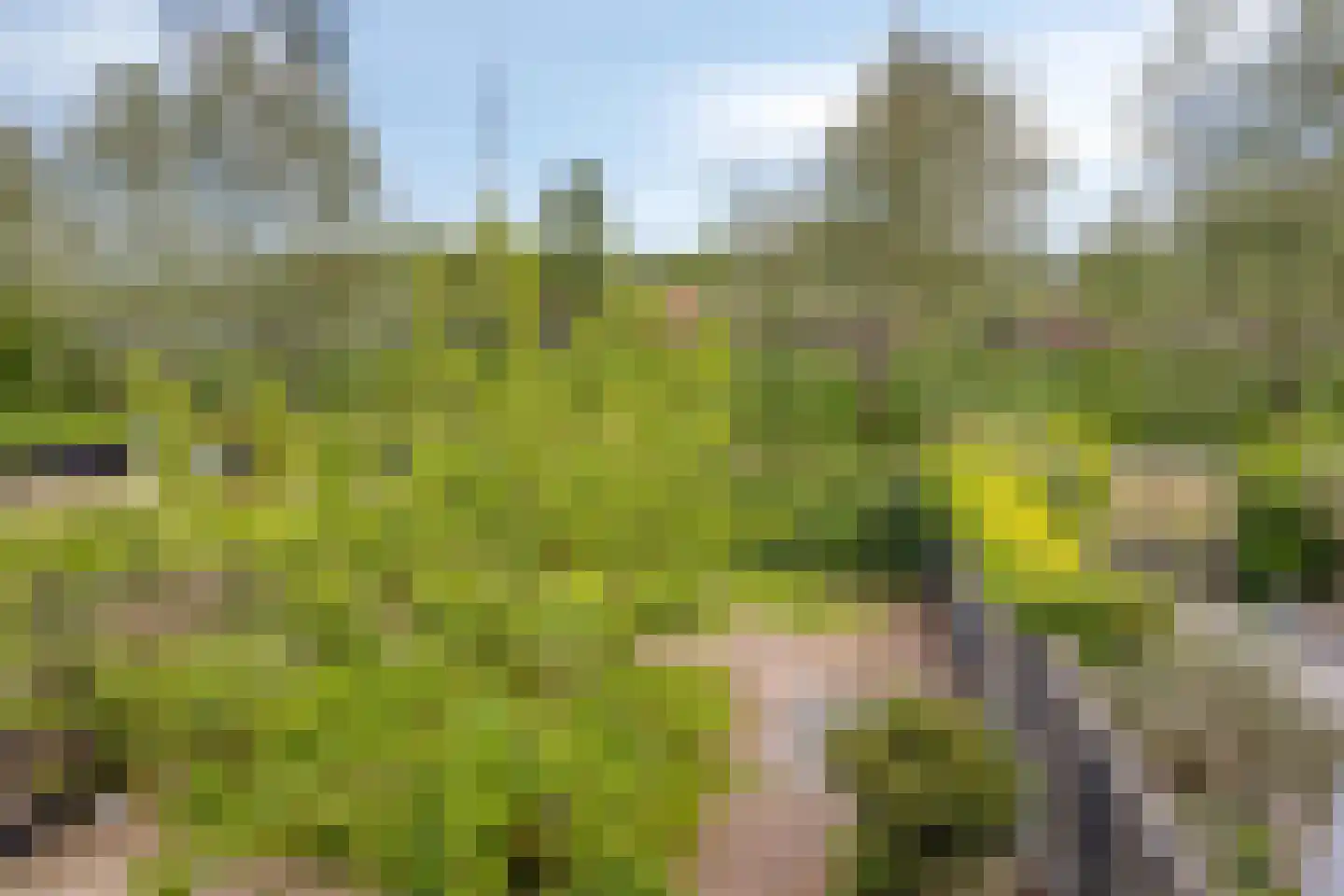De Wherelanden 222 Purmerend thumbnail 13