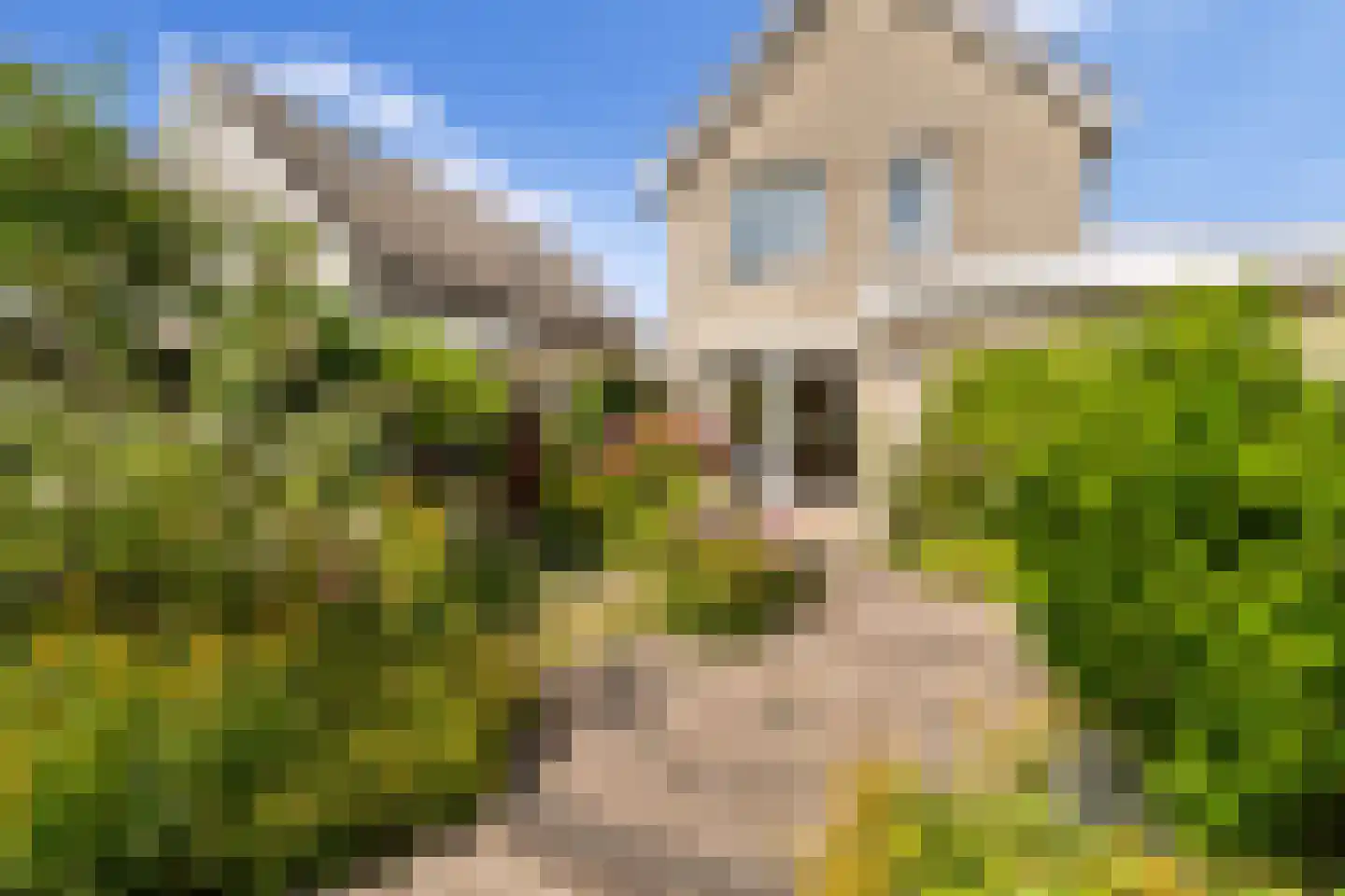 De Wickelaan 38 Leidschendam thumbnail 50