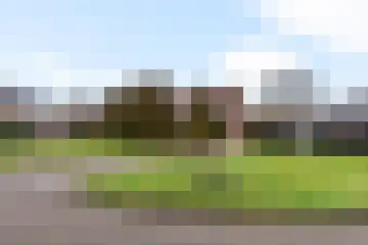 De Wide Hoeke 1 Mantgum thumbnail 10