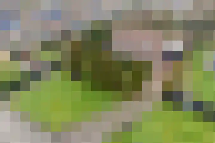 De Wide Hoeke 1 Mantgum foto 2