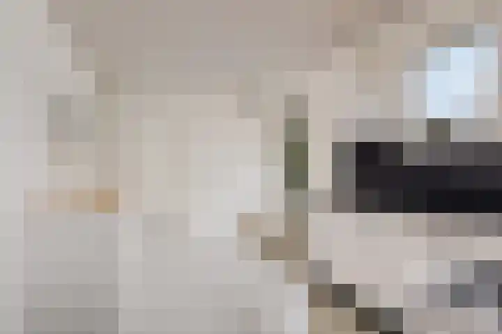 De Wide Hoeke 1 Mantgum thumbnail 22