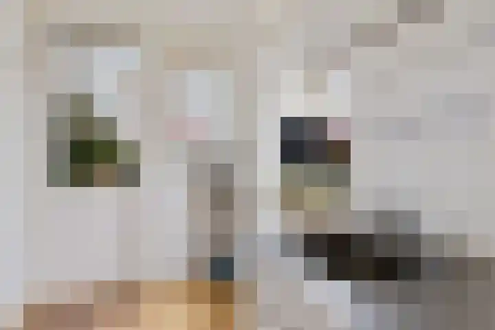 De Wide Hoeke 1 Mantgum thumbnail 25