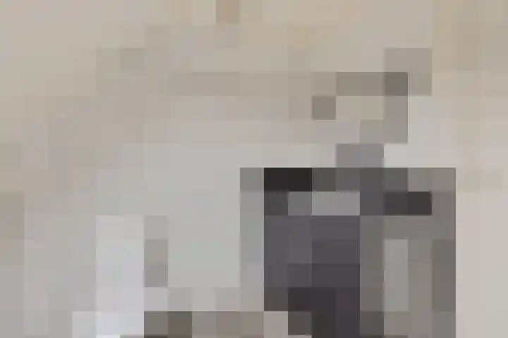 De Wide Hoeke 1 Mantgum thumbnail 35