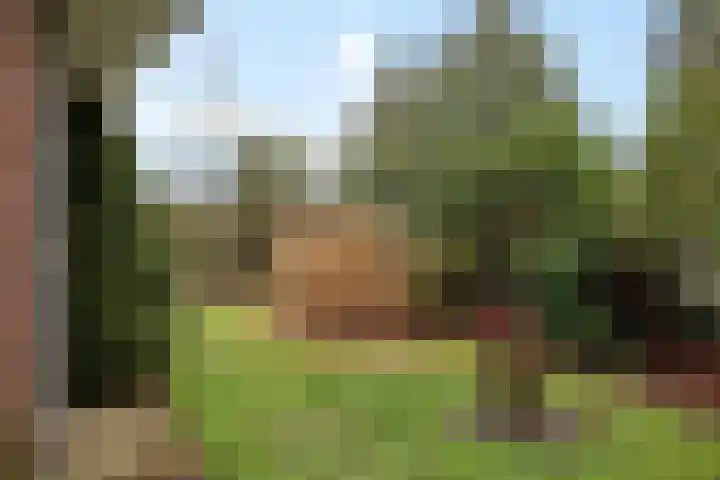 De Wide Hoeke 1 Mantgum thumbnail 39