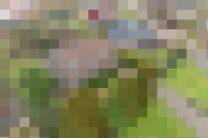 De Wide Hoeke 1 Mantgum thumbnail 4