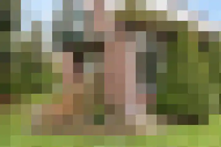 De Wide Hoeke 1 Mantgum thumbnail 40