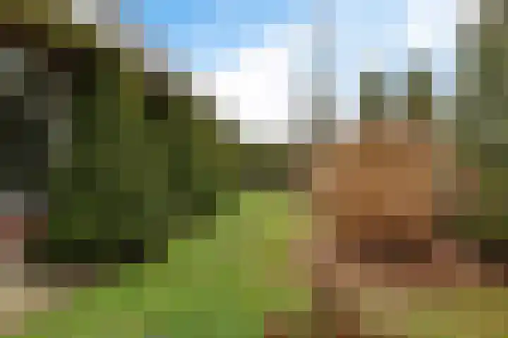 De Wide Hoeke 1 Mantgum thumbnail 42