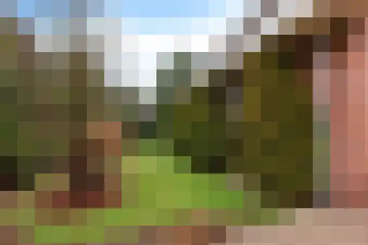 De Wide Hoeke 1 Mantgum thumbnail 43