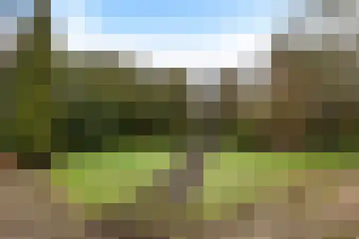 De Wide Hoeke 1 Mantgum thumbnail 45