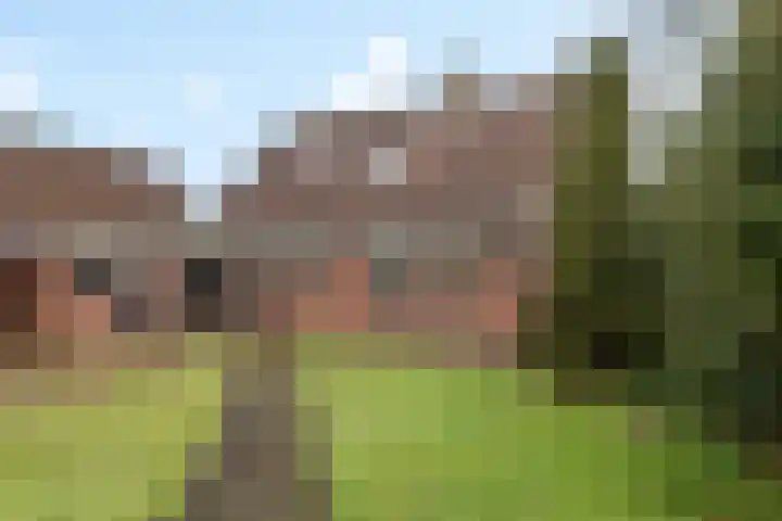 De Wide Hoeke 1 Mantgum thumbnail 47