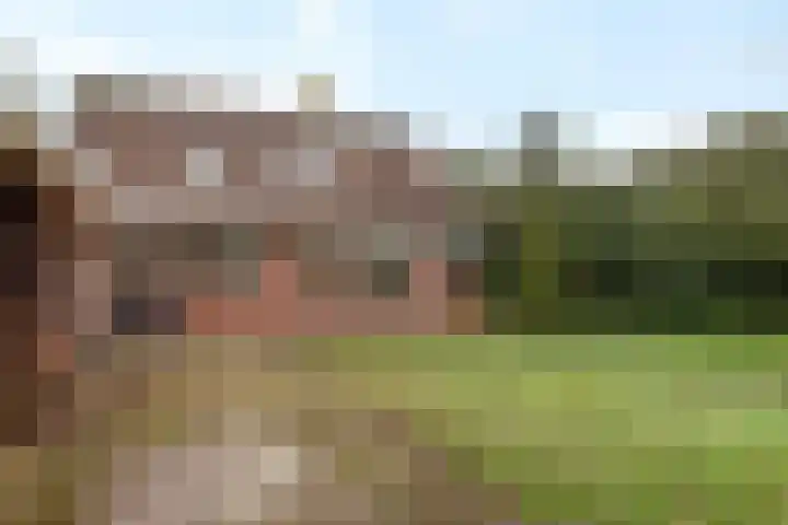De Wide Hoeke 1 Mantgum thumbnail 48