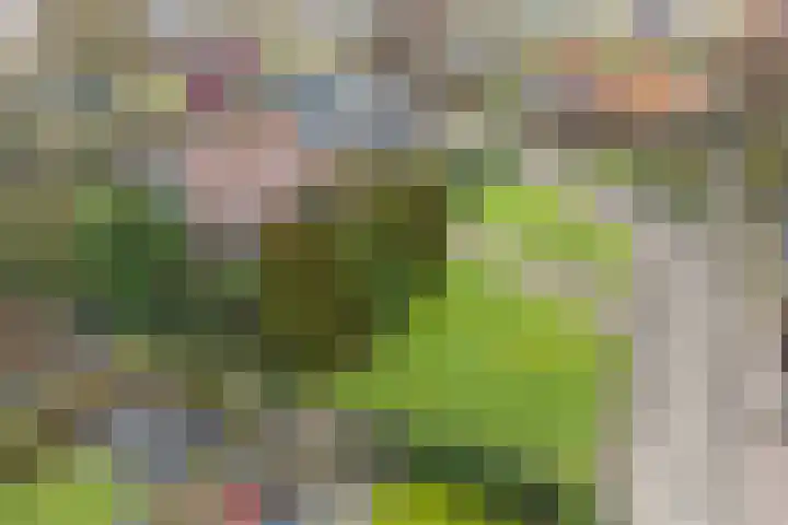 De Wide Hoeke 1 Mantgum thumbnail 5