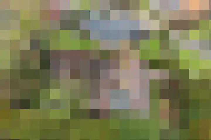 De Wide Hoeke 1 Mantgum thumbnail 6