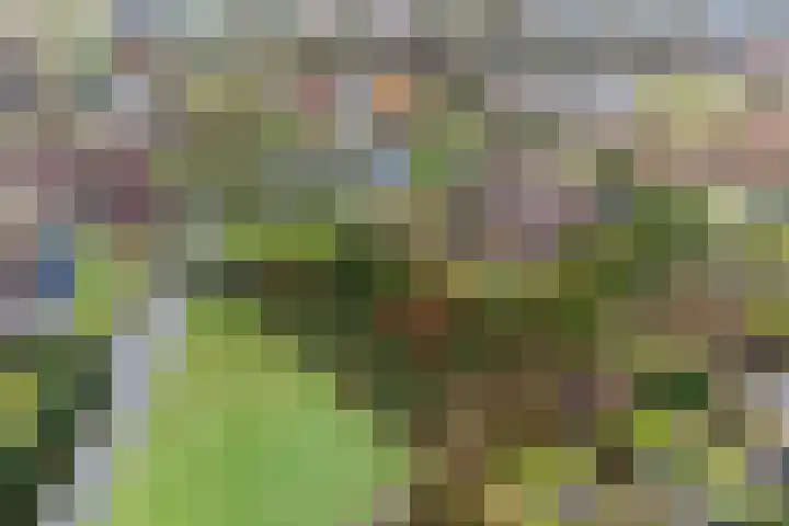 De Wide Hoeke 1 Mantgum thumbnail 7