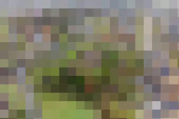 De Wide Hoeke 1 Mantgum thumbnail 8