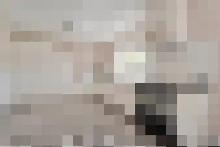 De Widtstraat 15 Dedemsvaart thumbnail 10