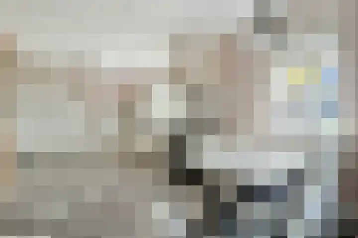De Widtstraat 15 Dedemsvaart thumbnail 13