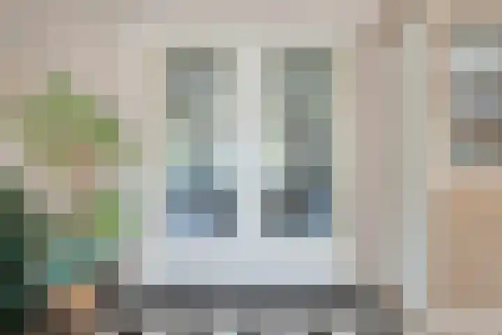 De Widtstraat 15 Dedemsvaart thumbnail 15