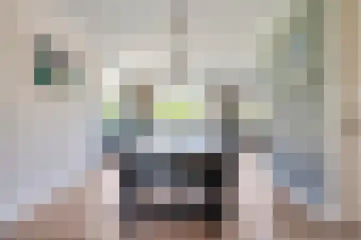 De Widtstraat 15 Dedemsvaart thumbnail 16