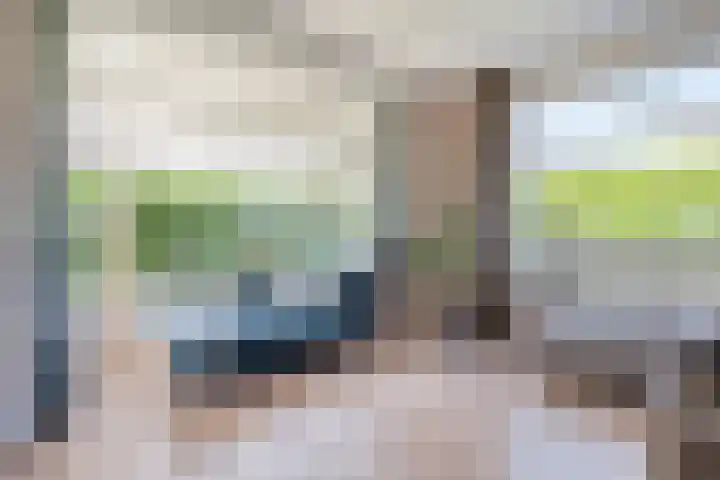 De Widtstraat 15 Dedemsvaart thumbnail 19