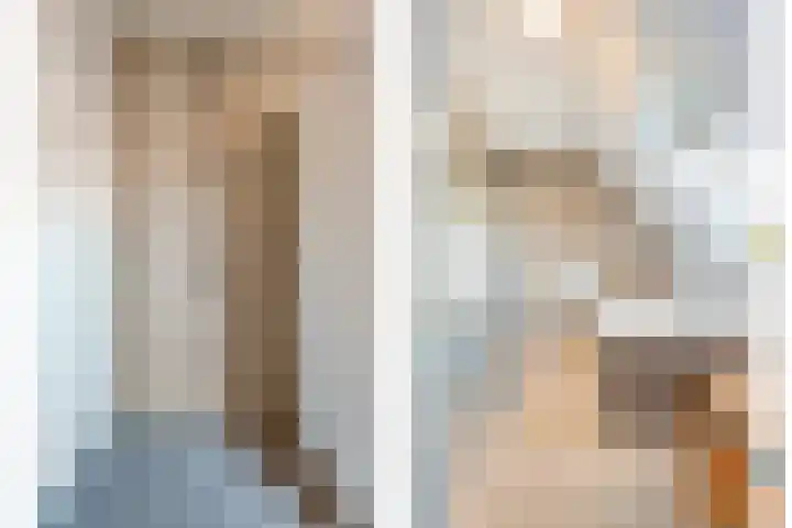De Widtstraat 15 Dedemsvaart thumbnail 31