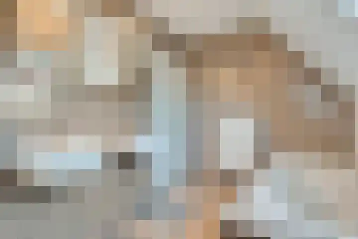 De Widtstraat 15 Dedemsvaart thumbnail 32