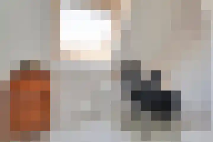 De Widtstraat 15 Dedemsvaart thumbnail 34