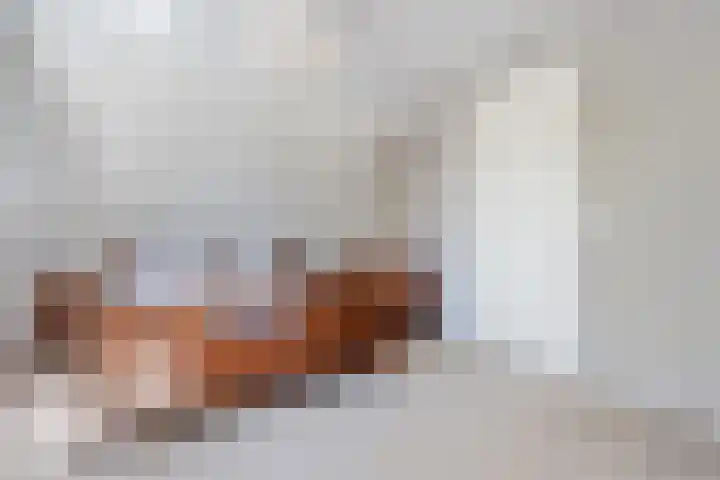 De Widtstraat 15 Dedemsvaart thumbnail 38
