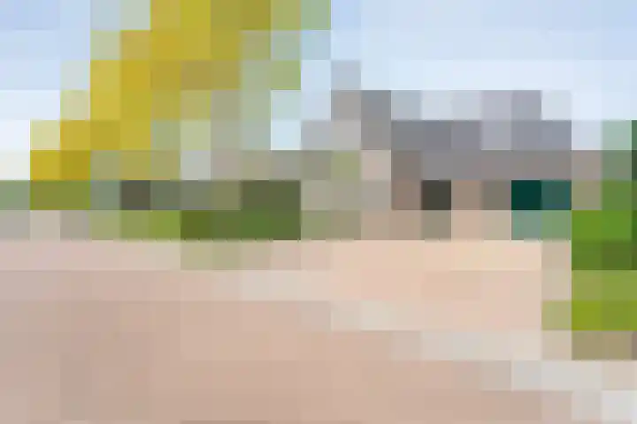 De Widtstraat 15 Dedemsvaart thumbnail 4