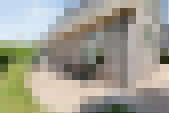 De Widtstraat 15 Dedemsvaart thumbnail 41