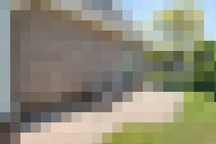 De Widtstraat 15 Dedemsvaart thumbnail 42