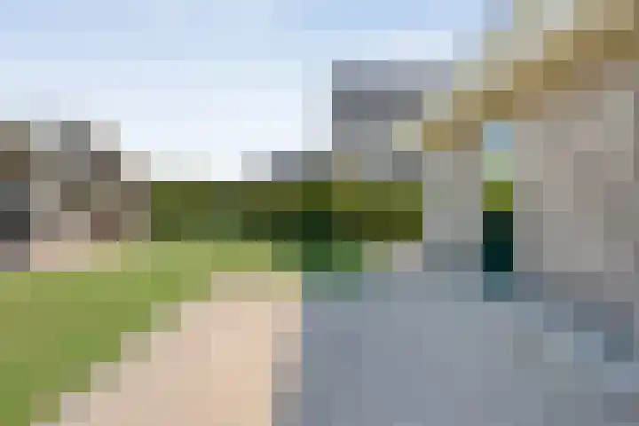 De Widtstraat 15 Dedemsvaart thumbnail 43