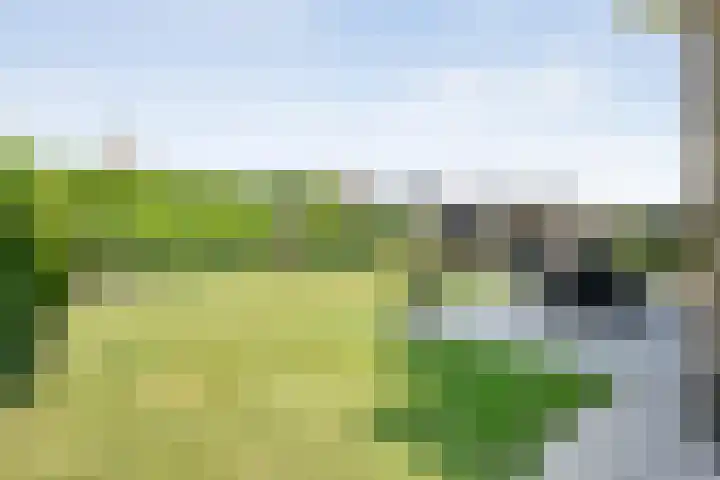 De Widtstraat 15 Dedemsvaart thumbnail 44