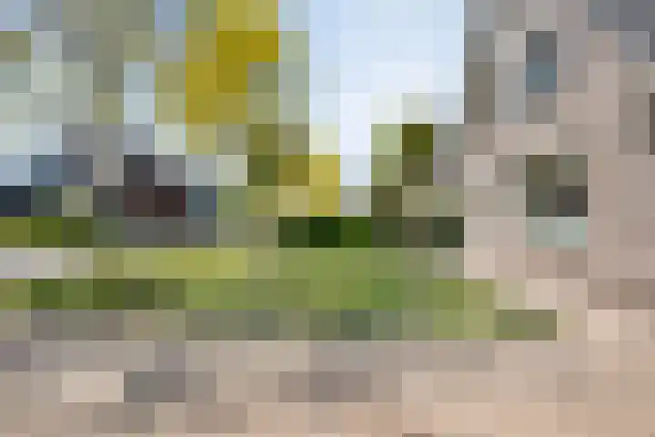 De Widtstraat 15 Dedemsvaart thumbnail 55
